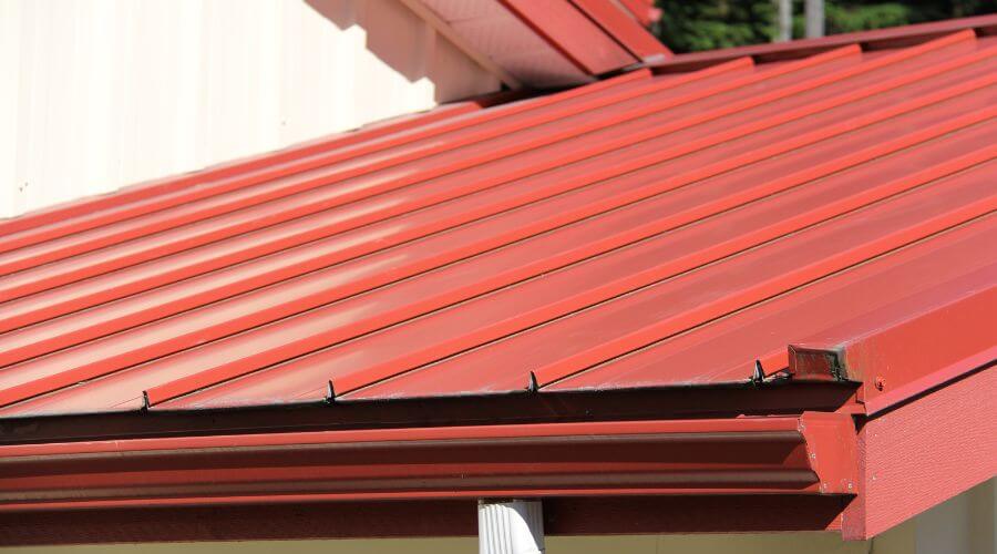 Professional gutter cleaning services in Keenes, IL